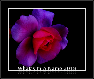 What's In A Name 2018