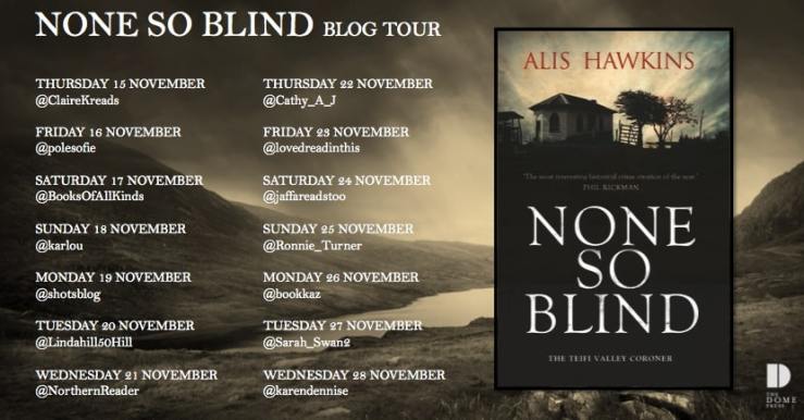 None So Blind Blog Tour Poster