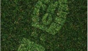 RCB Guest Post Image 4