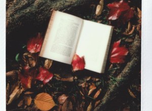 opened book on tree root