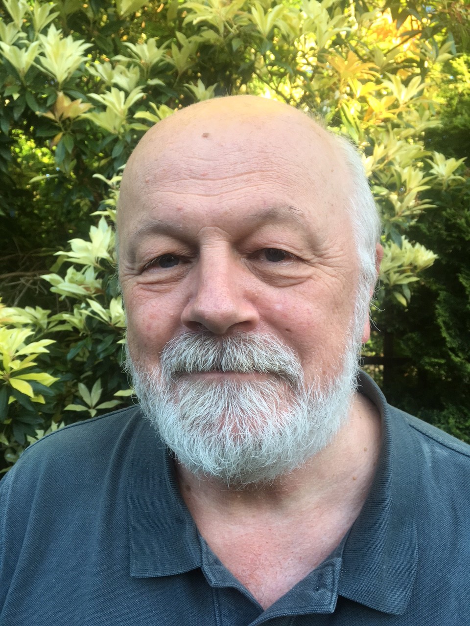 Mike Ward Author pic