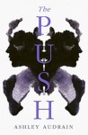 The Push Ashley Audrain