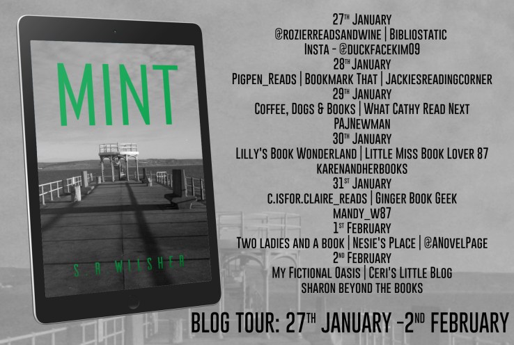 Mint Full Tour Banner