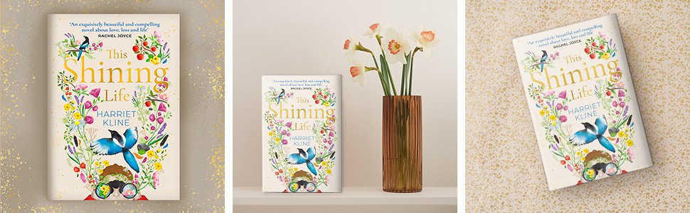 This Shining Life Graphic 2