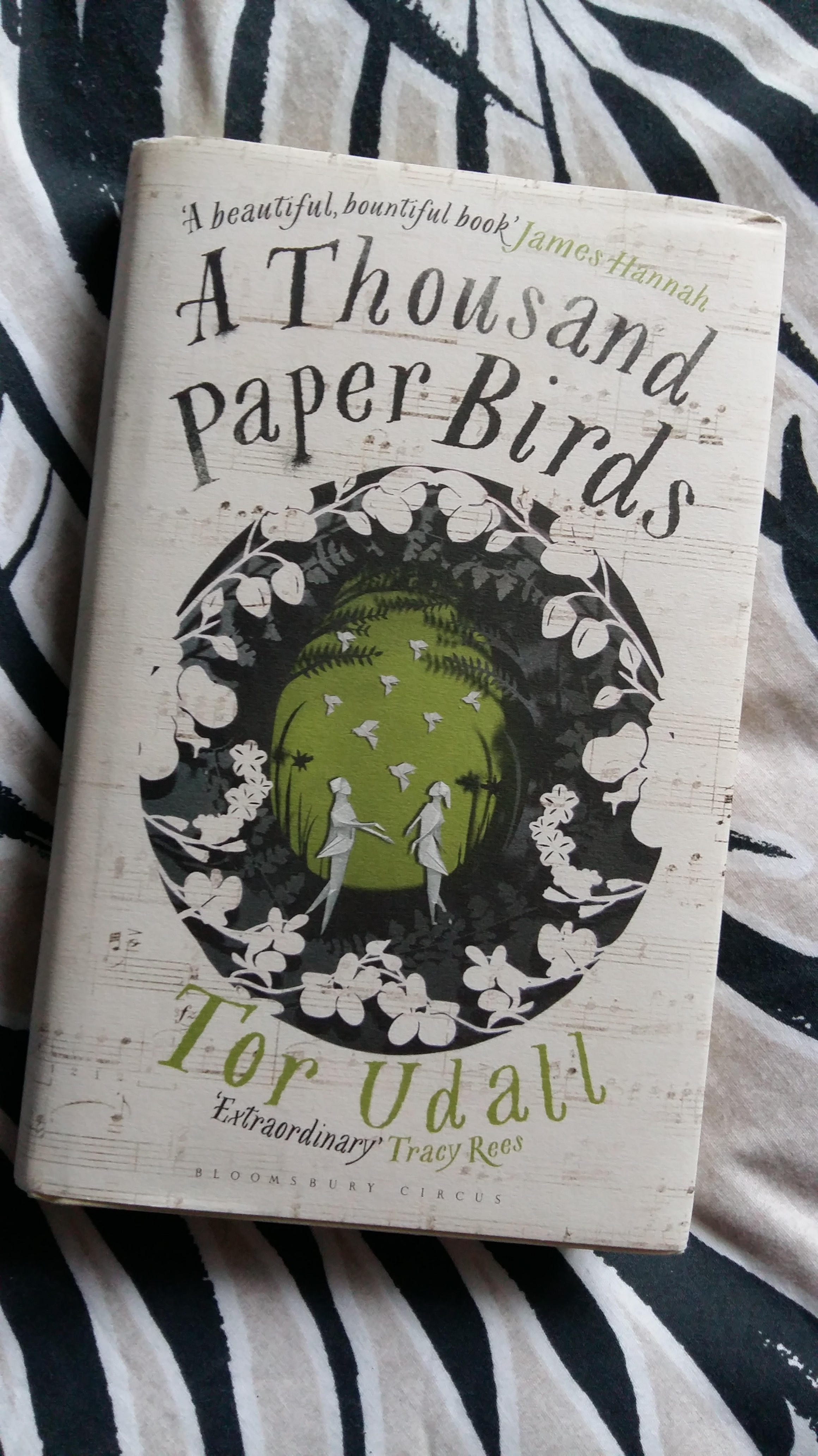 A Thousand Paper Birds