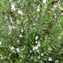 Six on Saturday 291022