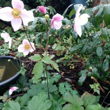 Six on Saturday 4 291022