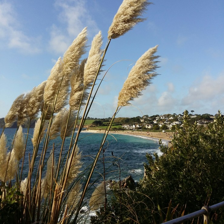 Six on Saturday 6 291022