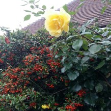 Six on Saturday 12 June