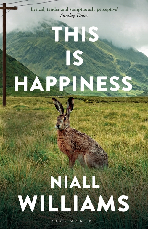 Book cover of This Is Happiness by Niall Williams